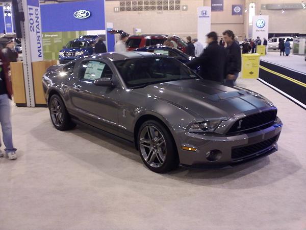 SVT Perf Package Stipe Modifications-0201001501.jpg