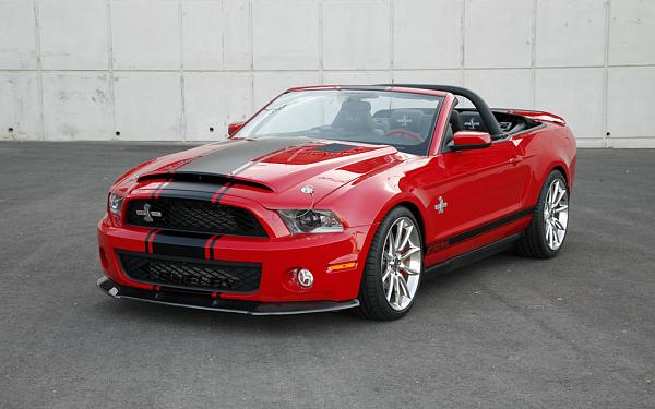 2010 Super Snake Pics!-_mg_9812.jpg