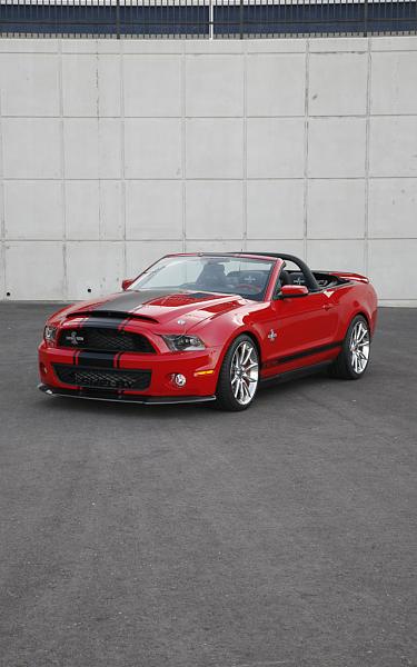 2010 Super Snake Pics!-_mg_9821.jpg