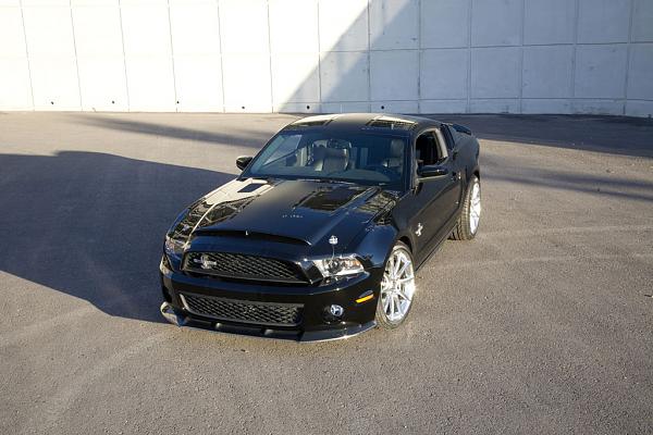 2010 Super Snake Pics!-black-2.jpg