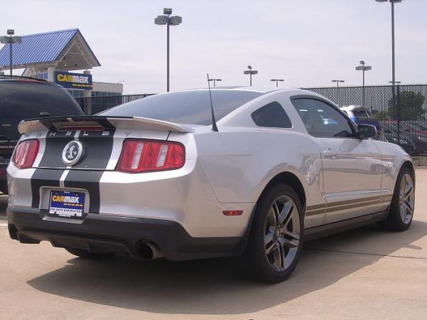 My new Silver/Black 2010 GT500-4606149248_4dfe5b18b3_o.jpg
