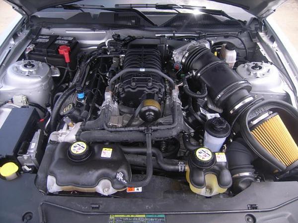 My new Silver/Black 2010 GT500-4606149320_6fe5622523_o.jpg