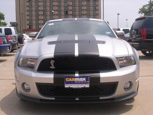 My new Silver/Black 2010 GT500-4605535393_647acd0001_o.jpg
