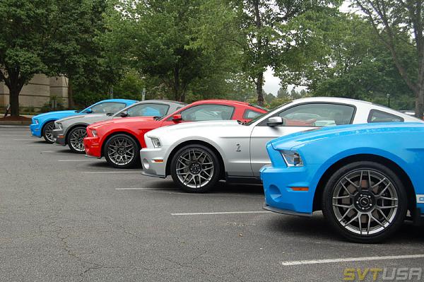 SVTUSA: SVTPP article &amp; pics-adsc_1161.jpg