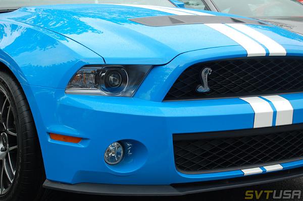 SVTUSA: SVTPP article &amp; pics-adsc_1159.jpg