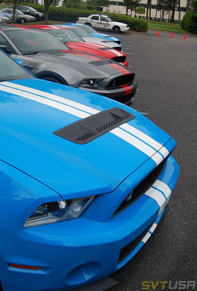 SVTUSA: SVTPP article &amp; pics-adsc_1156.jpg