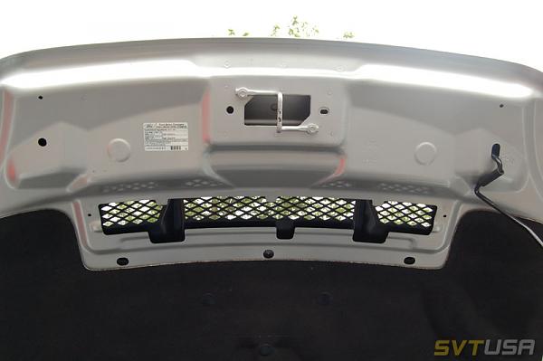 SVTUSA: SVTPP article &amp; pics-adsc_1173.jpg