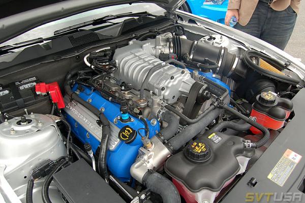 SVTUSA: SVTPP article &amp; pics-adsc_1169.jpg