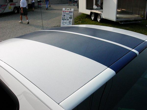 SVTPP Black with GB Stripes Possible?-stangnet_gt5013.jpg