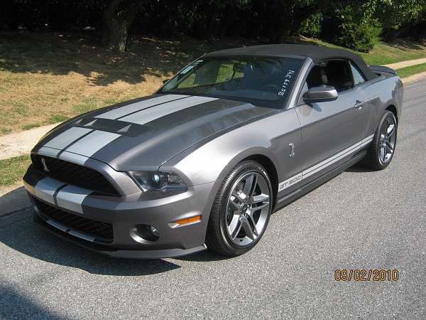 New family member-img_0537.jpg