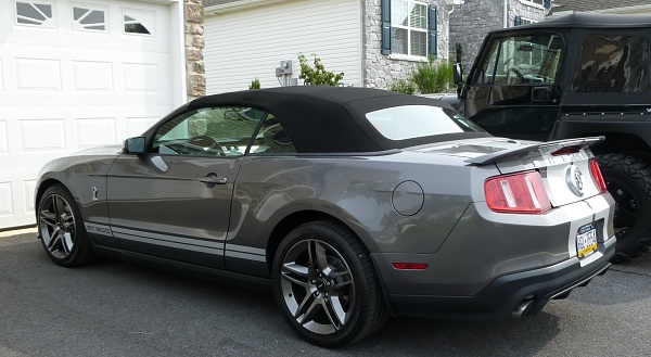 New family member-rear-3-4.jpg