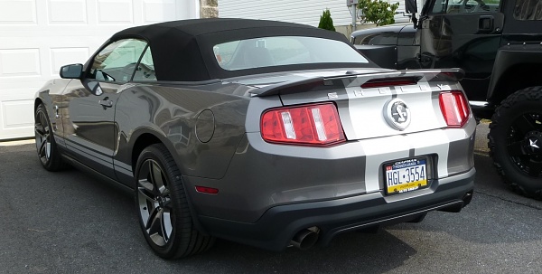 New family member-rear-4-3.jpg