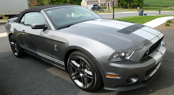 New family member-right-front.jpg