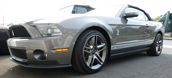 New family member-low-left-front.jpg