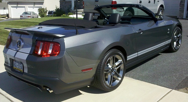 New family member-rear-3-4-top-down.jpg