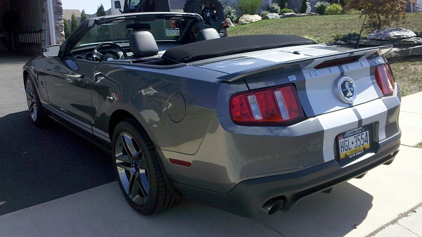 New family member-rear-4-3-top-down.jpg
