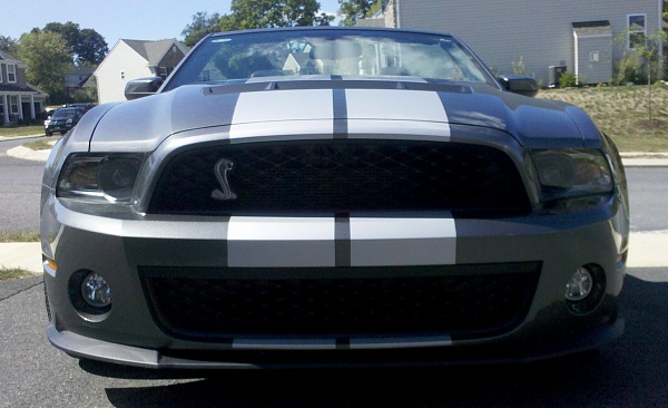 New family member-front-top-down.jpg