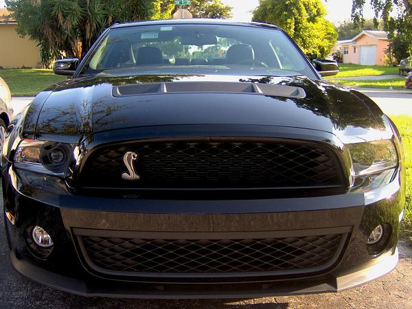 2011 Shelby GT500 traction challenge-front-view-2011-shelby.jpg