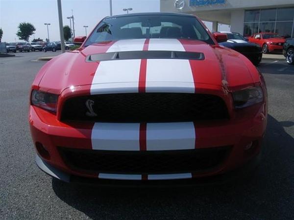 2011 GT500 Pictures-3.jpg