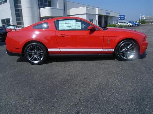 2011 GT500 Pictures-6.jpg