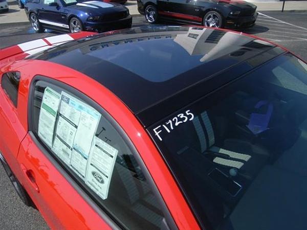 2011 GT500 Pictures-9.jpg