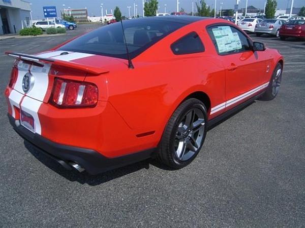 2011 GT500 Pictures-12.jpg