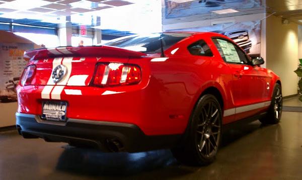 Incred 11 GT500 on showoom flr SVT perf-rs111111111111111111111111111.jpg