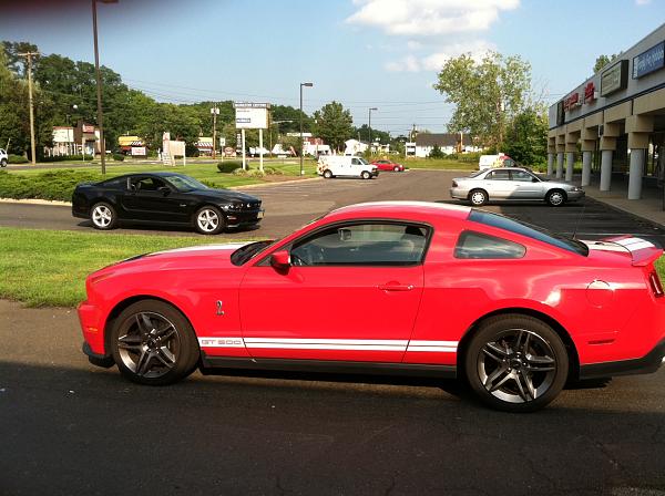 Just had to stop and take a pic...-shelby1.jpg