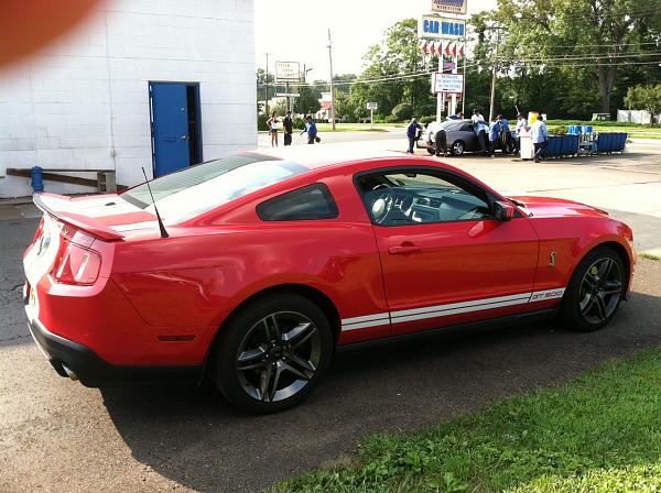 Just had to stop and take a pic...-shelby2.jpg