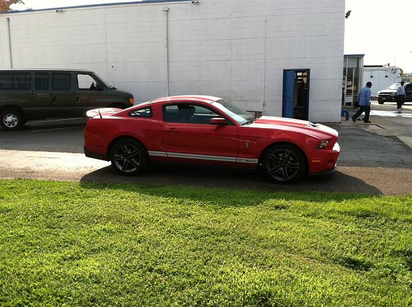 Just had to stop and take a pic...-shelby3.jpg