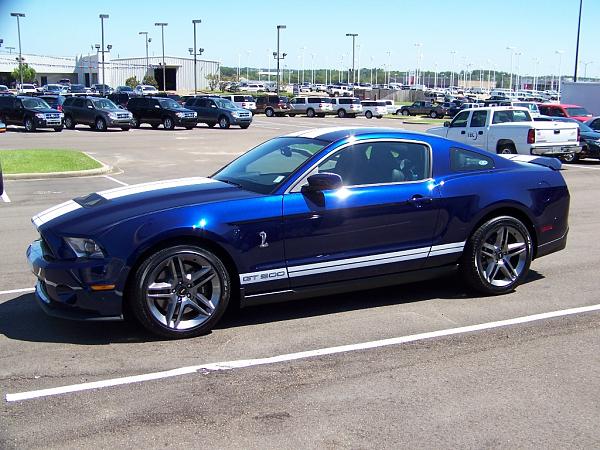 Living the GT500 Dream!!!-gray-daniels.jpg