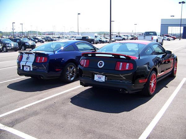 Living the GT500 Dream!!!-rear.jpg