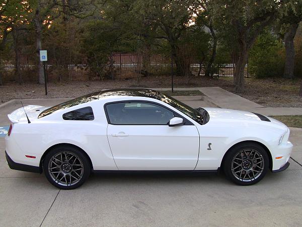 Favorite SVTPP color combo-img_4394.jpg