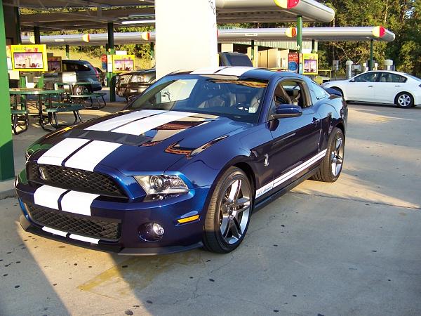 Living the GT500 Dream!!!-sonic.jpg
