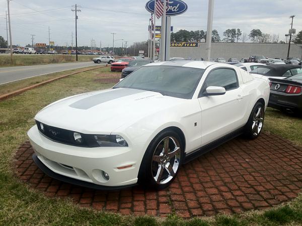 My 2010 White Roush Stage 1 Supercharged-image-4290641677.jpg