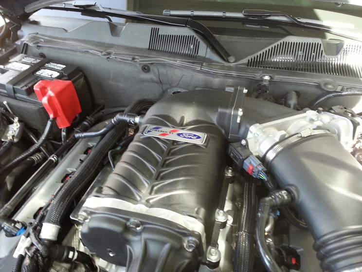 Name:  20140611_071508_resized-Copy_zpsc7b485af.jpg
Views: 182
Size:  152.4 KB