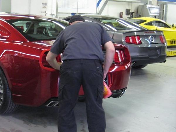 New Saleen S281 Shots 10/22-new-shot-rear-2.jpg