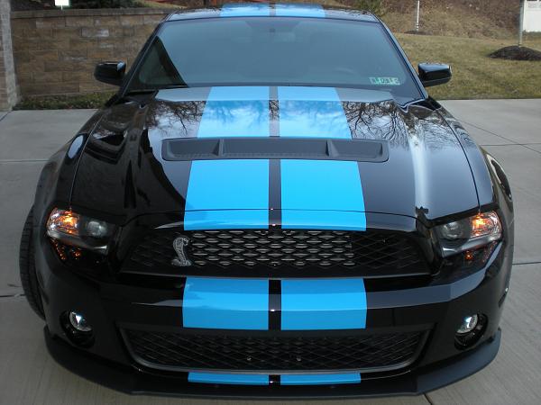 Post pics of your black stang!-2-9-12-tint12.jpg