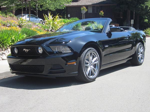 Post pics of your black stang!-02black-beauty-downsized-1.jpg