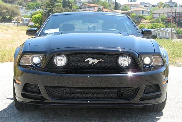 Post pics of your black stang!-front.jpg