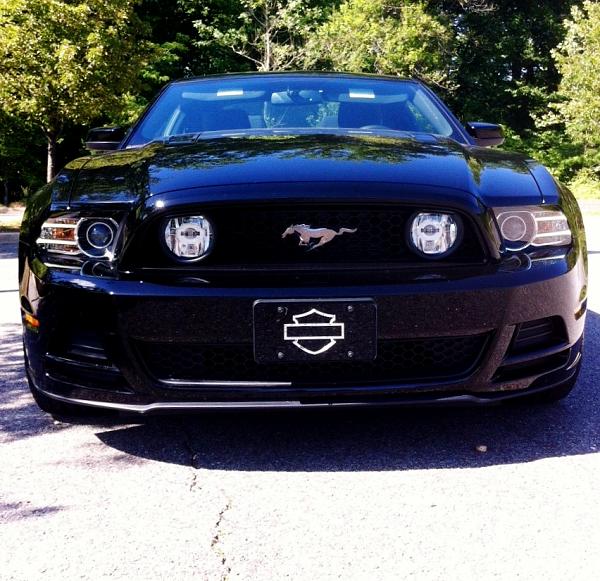 Post pics of your black stang!-coyote6.jpg