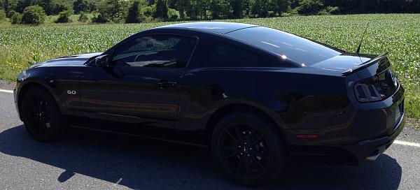 Post pics of your black stang!-photo.jpg