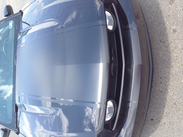 Stripes on Black-new-stripes3.jpg