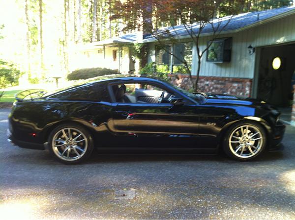 Post pics of your black stang!-image-2835962232.jpg