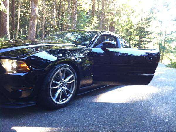 Post pics of your black stang!-image-1170940475.jpg