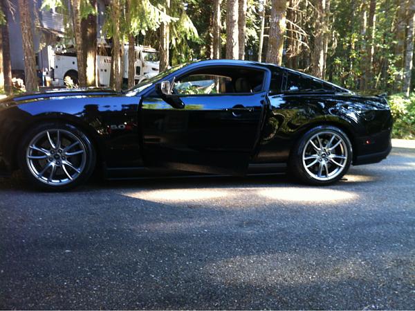 Post pics of your black stang!-image-2791892143.jpg