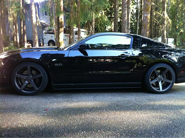 Post pics of your black stang!-image-3163501140.jpg