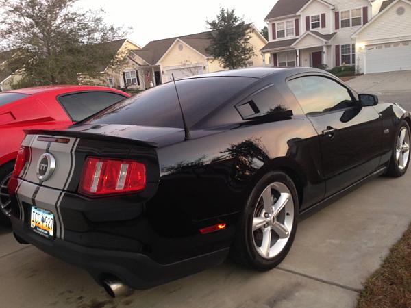 Post pics of your black stang!-image-1716579593.jpg