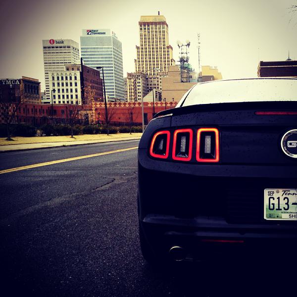 Mustang/Skyline Pics-image-1227101842.jpg