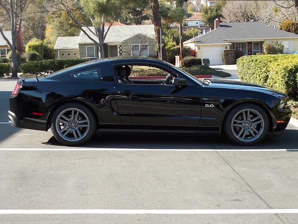 Post pics of your black stang!-dscn0132.jpg